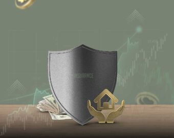 الاستثمار في شركات التأمين