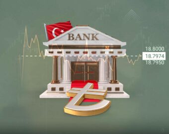الفائدة التركية